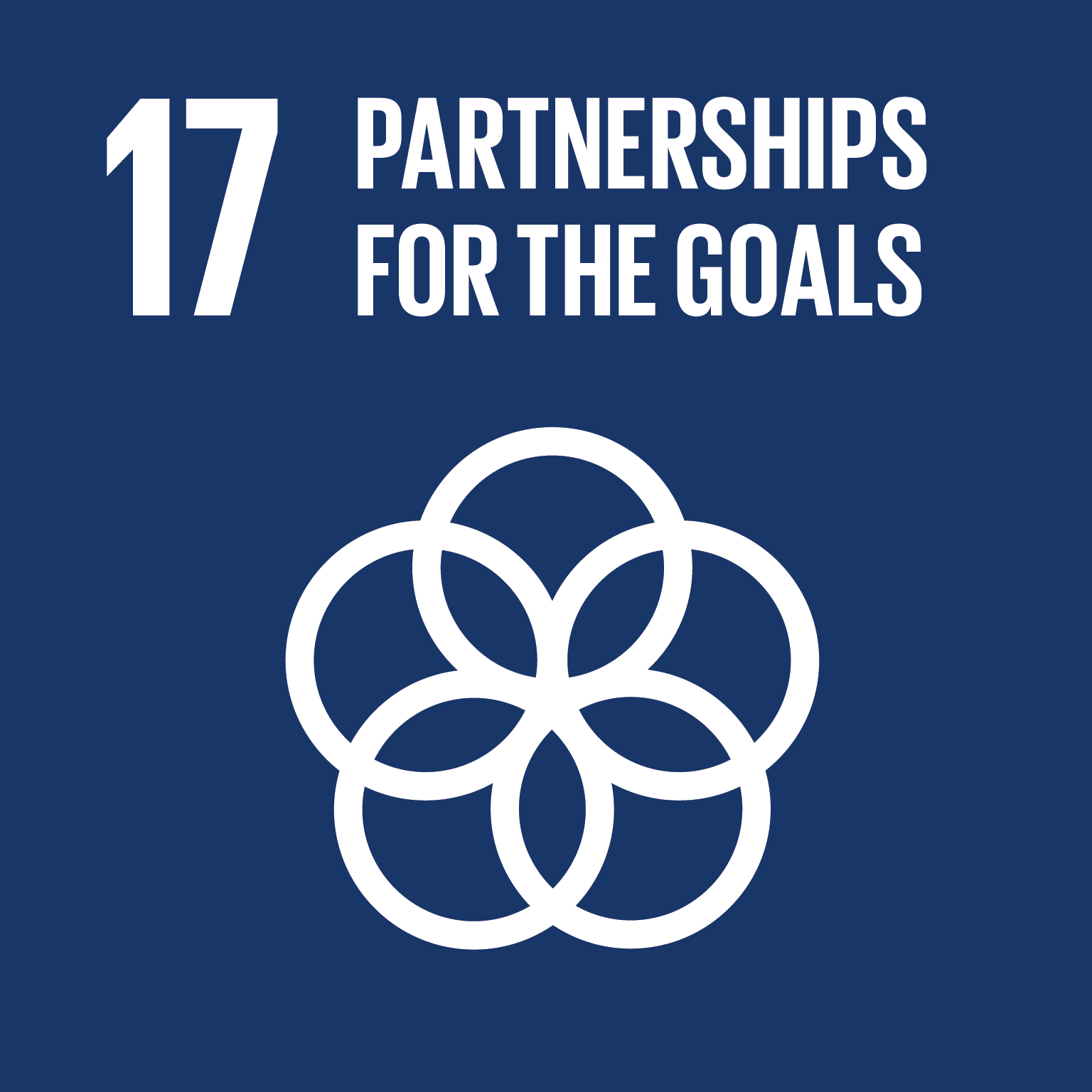 SDG 17 Partnerships for the Goals